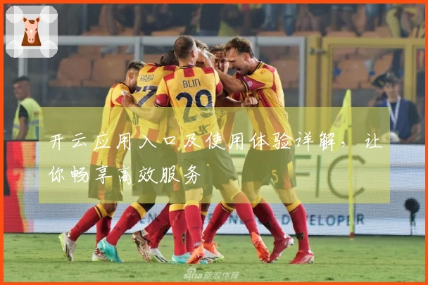 开云应用入口及使用体验详解，让你畅享高效服务