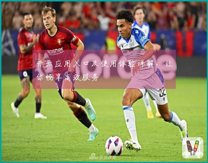 开云应用入口及使用体验详解，让你畅享高效服务